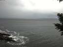 ./images/koeye/fitz-hugh/20201120/fitz-hugh20201120_115502.jpg