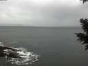 ./images/koeye/fitz-hugh/20201120/fitz-hugh20201120_120502.jpg