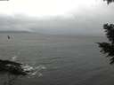./images/koeye/fitz-hugh/20201120/fitz-hugh20201120_121002.jpg