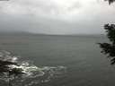 ./images/koeye/fitz-hugh/20201120/fitz-hugh20201120_122502.jpg