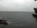 ./images/koeye/fitz-hugh/20201120/fitz-hugh20201120_123002.jpg