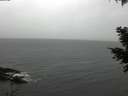 ./images/koeye/fitz-hugh/20201120/fitz-hugh20201120_124501.jpg