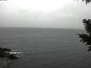 ./images/koeye/fitz-hugh/20201120/fitz-hugh20201120_125001.jpg
