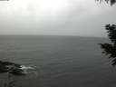 ./images/koeye/fitz-hugh/20201120/fitz-hugh20201120_125501.jpg