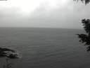 ./images/koeye/fitz-hugh/20201120/fitz-hugh20201120_130001.jpg