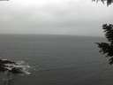 ./images/koeye/fitz-hugh/20201120/fitz-hugh20201120_130501.jpg