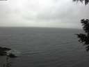 ./images/koeye/fitz-hugh/20201120/fitz-hugh20201120_131001.jpg