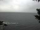 ./images/koeye/fitz-hugh/20201120/fitz-hugh20201120_131501.jpg