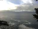 ./images/koeye/fitz-hugh/20201122/fitz-hugh20201122_114009.jpg