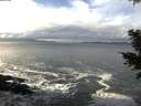 ./images/koeye/fitz-hugh/20201122/fitz-hugh20201122_115001.jpg