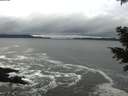 ./images/koeye/fitz-hugh/20201122/fitz-hugh20201122_122001.jpg