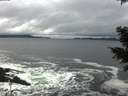 ./images/koeye/fitz-hugh/20201122/fitz-hugh20201122_123501.jpg