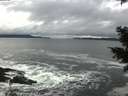 ./images/koeye/fitz-hugh/20201122/fitz-hugh20201122_125001.jpg