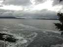 ./images/koeye/fitz-hugh/20201122/fitz-hugh20201122_130002.jpg