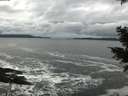 ./images/koeye/fitz-hugh/20201122/fitz-hugh20201122_131001.jpg