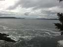 ./images/koeye/fitz-hugh/20201122/fitz-hugh20201122_131502.jpg