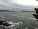 ./images/koeye/fitz-hugh/20201122/fitz-hugh20201122_133002.jpg