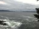 ./images/koeye/fitz-hugh/20201122/fitz-hugh20201122_133502.jpg