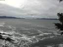 ./images/koeye/fitz-hugh/20201122/fitz-hugh20201122_135002.jpg