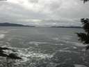 ./images/koeye/fitz-hugh/20201122/fitz-hugh20201122_135502.jpg