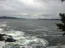 ./images/koeye/fitz-hugh/20201122/fitz-hugh20201122_140002.jpg