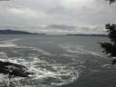 ./images/koeye/fitz-hugh/20201122/fitz-hugh20201122_140502.jpg