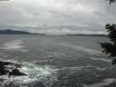 ./images/koeye/fitz-hugh/20201122/fitz-hugh20201122_141502.jpg