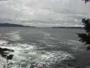 ./images/koeye/fitz-hugh/20201122/fitz-hugh20201122_142002.jpg