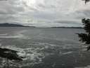 ./images/koeye/fitz-hugh/20201122/fitz-hugh20201122_143001.jpg