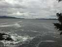 ./images/koeye/fitz-hugh/20201122/fitz-hugh20201122_143501.jpg