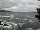 ./images/koeye/fitz-hugh/20201122/fitz-hugh20201122_144001.jpg