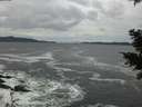 ./images/koeye/fitz-hugh/20201122/fitz-hugh20201122_144501.jpg