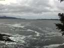 ./images/koeye/fitz-hugh/20201122/fitz-hugh20201122_145001.jpg