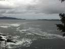 ./images/koeye/fitz-hugh/20201122/fitz-hugh20201122_145501.jpg