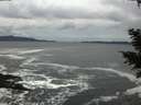 ./images/koeye/fitz-hugh/20201122/fitz-hugh20201122_150001.jpg