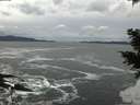 ./images/koeye/fitz-hugh/20201122/fitz-hugh20201122_150501.jpg