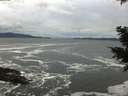 ./images/koeye/fitz-hugh/20201122/fitz-hugh20201122_151001.jpg