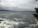 ./images/koeye/fitz-hugh/20201122/fitz-hugh20201122_151501.jpg