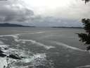 ./images/koeye/fitz-hugh/20201122/fitz-hugh20201122_152001.jpg