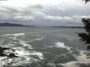 ./images/koeye/fitz-hugh/20201122/fitz-hugh20201122_153001.jpg