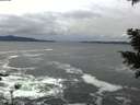 ./images/koeye/fitz-hugh/20201122/fitz-hugh20201122_154001.jpg