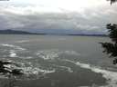 ./images/koeye/fitz-hugh/20201122/fitz-hugh20201122_155001.jpg