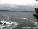 ./images/koeye/fitz-hugh/20201122/fitz-hugh20201122_160002.jpg