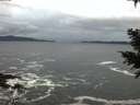 ./images/koeye/fitz-hugh/20201122/fitz-hugh20201122_160501.jpg