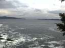 ./images/koeye/fitz-hugh/20201122/fitz-hugh20201122_161001.jpg