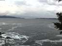 ./images/koeye/fitz-hugh/20201122/fitz-hugh20201122_161501.jpg