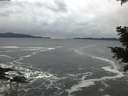 ./images/koeye/fitz-hugh/20201122/fitz-hugh20201122_162501.jpg
