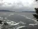 ./images/koeye/fitz-hugh/20201122/fitz-hugh20201122_163002.jpg