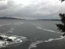 ./images/koeye/fitz-hugh/20201122/fitz-hugh20201122_163502.jpg