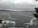 ./images/koeye/fitz-hugh/20201122/fitz-hugh20201122_164001.jpg